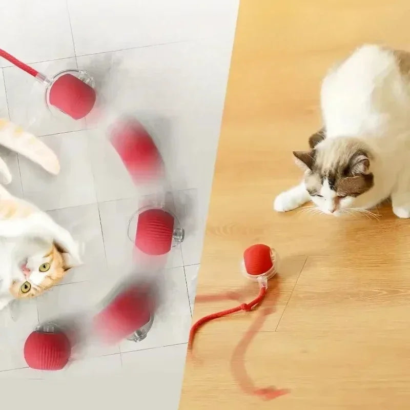 Cat Interactive Ball Toy, Automatic Rolling Ball with Tail, Rechargeable Smart Pet Interactive Toy, Intelligent Mouse for Cat Beauty World Shop