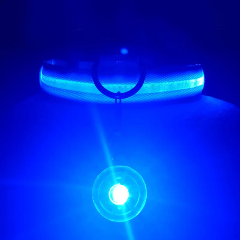 Usb Charging Glowing Dog Collar With Pendant Detachable Luxury Led Light Bright For Small Dogs Cat Night Safety Collar Wholesale Beauty World Shop