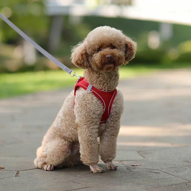 Puppy Harness Set Dog Accessories Adjustable Pet Vest Dogs French Bulldog Chihuahua Small Dog Collar Supplies Products Home Beauty World Shop