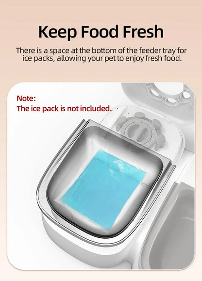 2 Meals Timed Automatic Dog Feeder Dual Bowls Smart Cat Food Dispenser Wet Dry Pet Food Dispenser Pet Feeder Cat Accessories