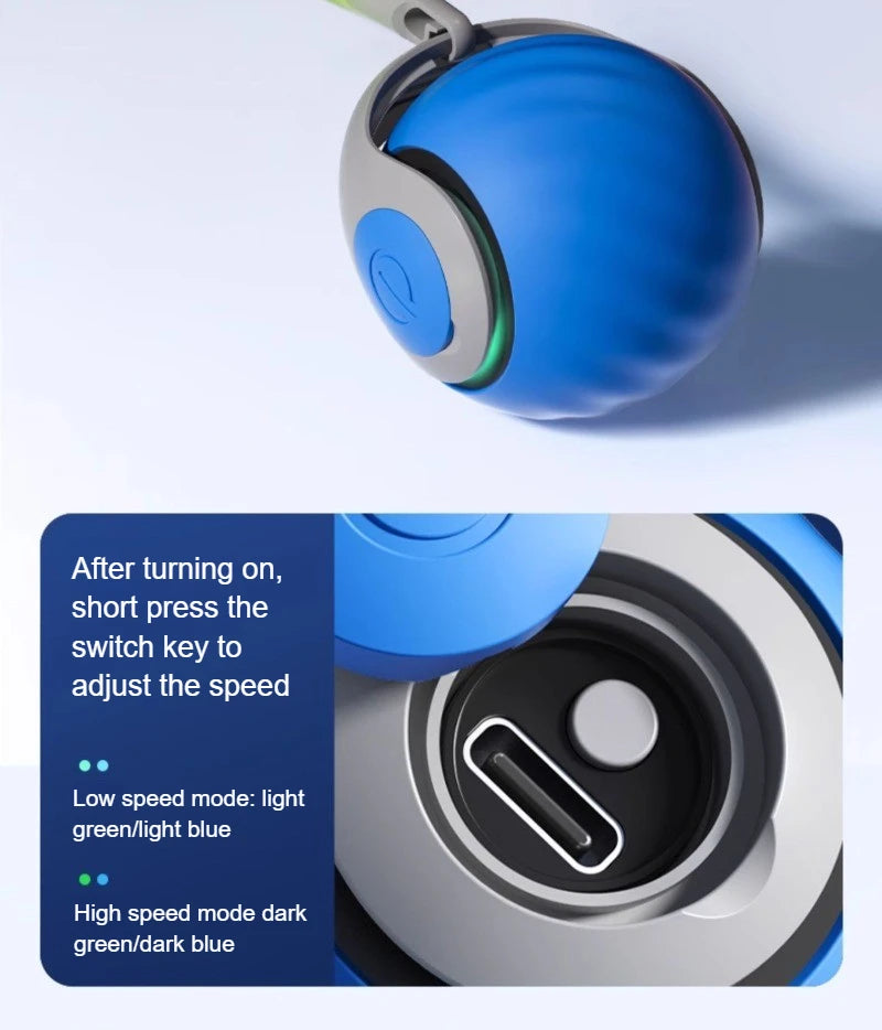 Cats Interactive Ball Toys, Automatic Rolling Ball with Faux Tail,USB Rechargeable SmartElectric Pet Toy for Teaser and Training Beauty World Shop