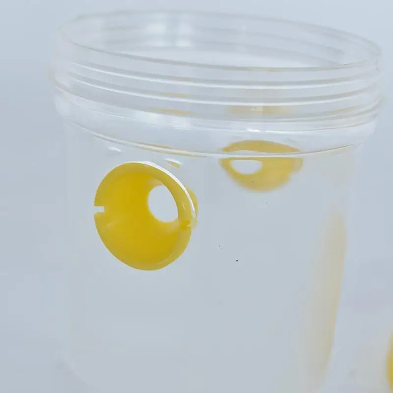 Clear Plastic Outdoor Insect Trap with Lid - Effective for Catching Fruit Flies, Wasps, Transparent Design for Easy Monitoring Beauty World Shop