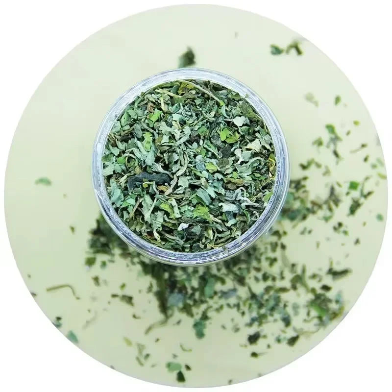 Organic 100% Natural High Quality Catnip Cattle Grass Mint Taste Funny Cat Toy New Cat Toy Interactive Cat Toys Pet Supplies Beauty World Shop