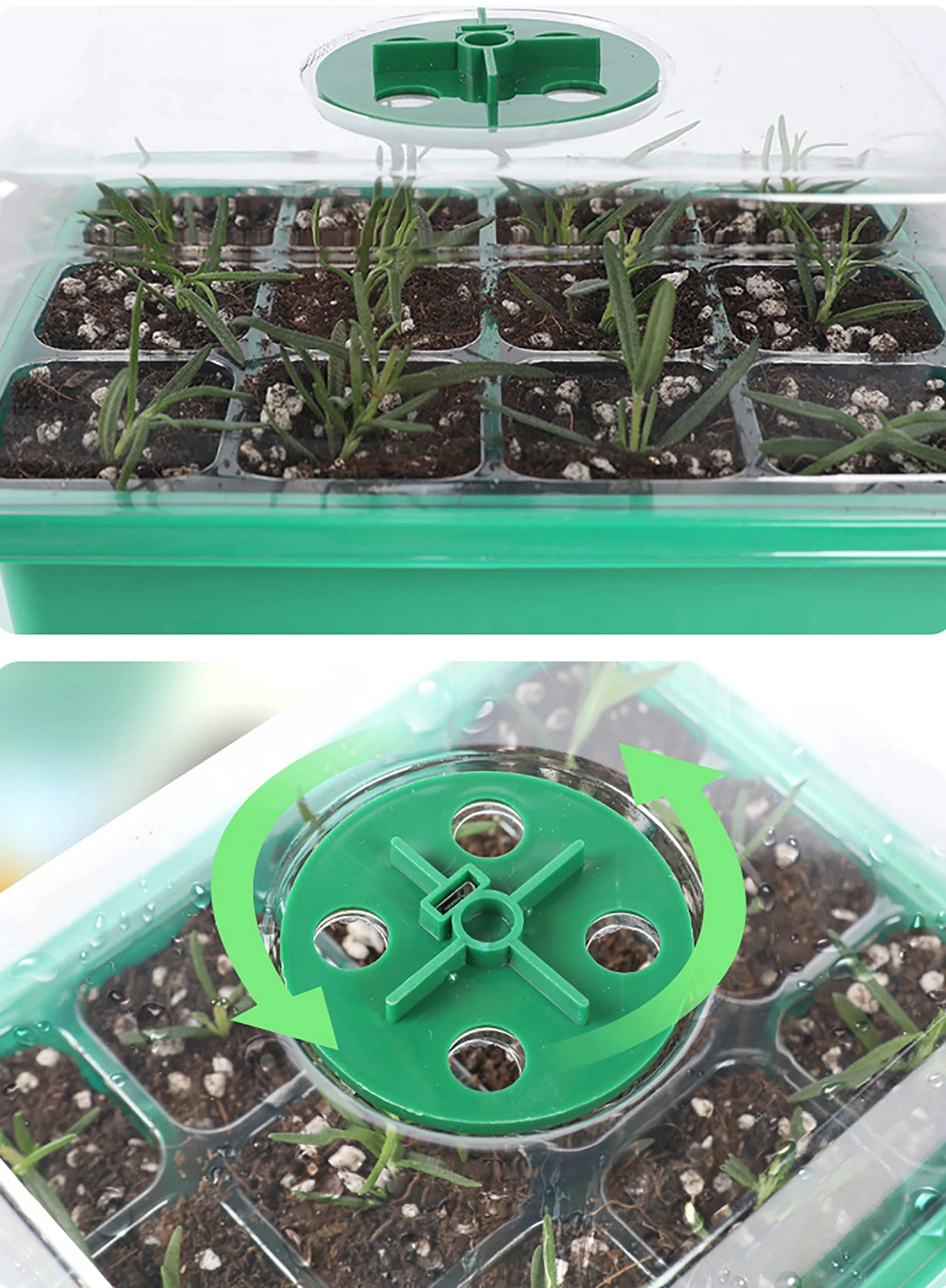 Seed Starter Tray Box With LED Grow Light Nursery Pot Seedling Germination Planter Adjustable Ventilation Humidity 6/12/13 Cell Beauty World Shop