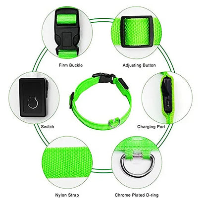 USB Rechargeable Luminous Collar Adjustable Led Glowing Dog Collar for Large Small Dogs Cat Night Light Collar Pet Safety Harnes Beauty World Shop