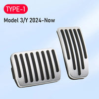 Model 3 Y (TYPE-1)