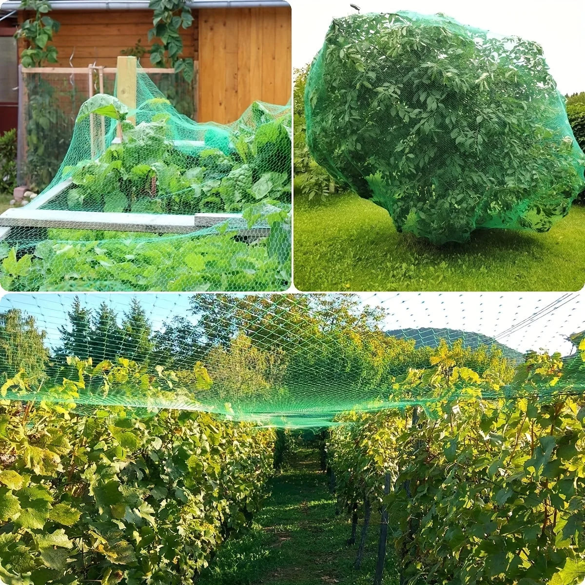 1pc Garden Netting and Bird Protection, for Vegetables Plants Flower And Fruit Trees, Trellis Gird Pest Fencing Net Stops, Beauty World Shop