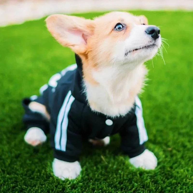Pet Clothes French Bulldog Puppy Dog Pet Jumpsuit Chihuahua Pug Pets Dogs Clothing for Small Medium Dogs Puppy Outfit Beauty World Shop