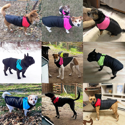 Pet Dog Jacket Warm Winter Clothes For Small Large Dogs Labrador Coat Windproof Waterproof Puppy Costume Vest With D-ring Pug Beauty World Shop