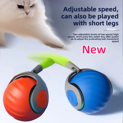 Smart Cats Toy Ball Electric Ball for Cats With Feather Teaser Intelligent Automatic Movement Active Scrolling Pet Toys Supplies Beauty World Shop