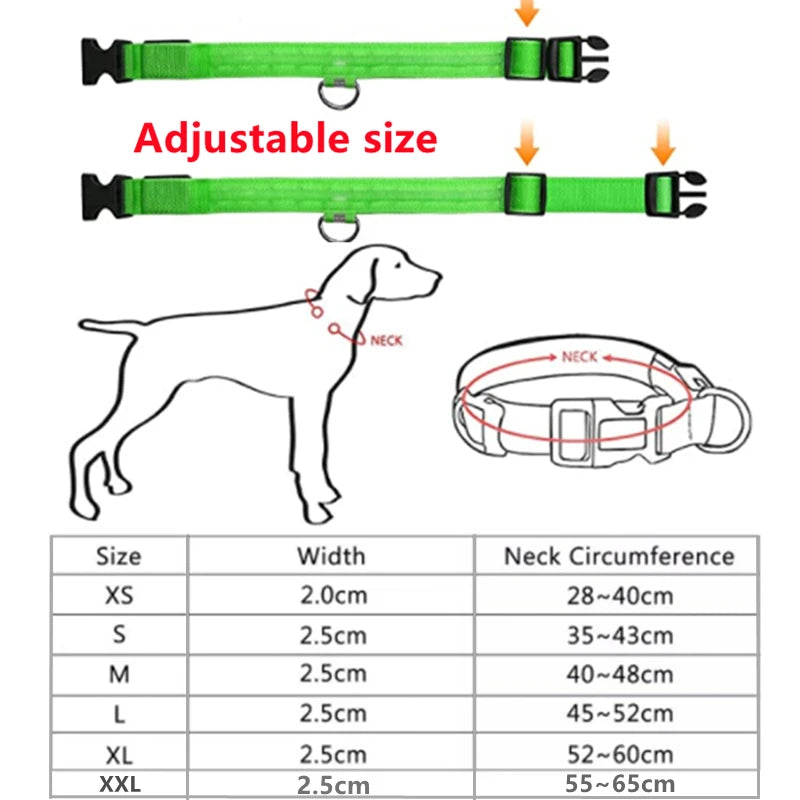USB Rechargeable Luminous Collar Adjustable Led Glowing Dog Collar for Large Small Dogs Cat Night Light Collar Pet Safety Harnes Beauty World Shop