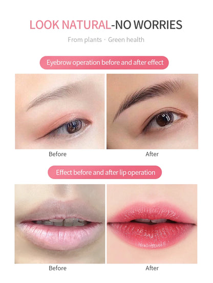 Borala 26 Colors 3ML Permanent Makeup Tattoo Lips Eyebrows Eyeliners Pigments Sample Size Tattoo Pigments Beauty Art Women Use Beauty World Shop