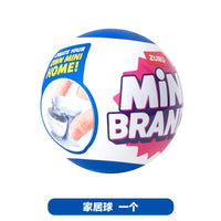 Home 1xBall