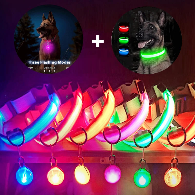 Usb Charging Glowing Dog Collar With Pendant Detachable Luxury Led Light Bright For Small Dogs Cat Night Safety Collar Wholesale Beauty World Shop