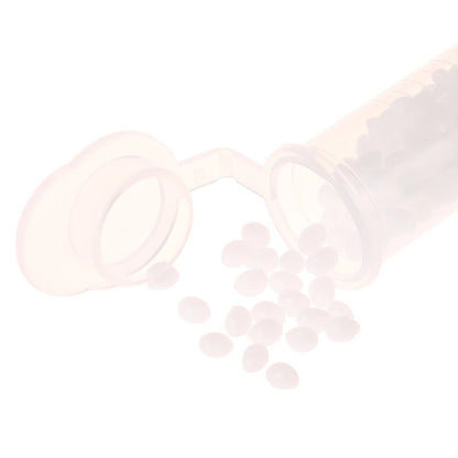 10g-30g Temporary Tooth Repair Kit Teeth And Gaps FalseTeeth Solid Glue Denture Adhesive Teeth Whitening Tooth Beauty Tool Beauty World Shop