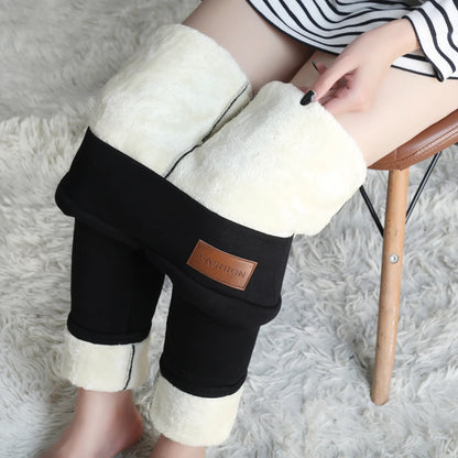 Women Thermal Leggings Winter Warm Sexy Elastic Translucent Pantyhose Female Fleece Thermal High Waist Slim Thicken Tight Pants Beauty World Shop