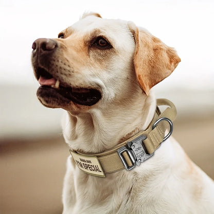 Heavy Duty Tactical Dog Collars with Handle Military Collar with Patch Outdoor Training and Walking for Medium and Large Dogs Beauty World Shop