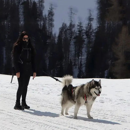 Dog Outdoor Sled Chest Strap Dog Weight Training Traction Strap Husky Samo Snowboard Traction Rope