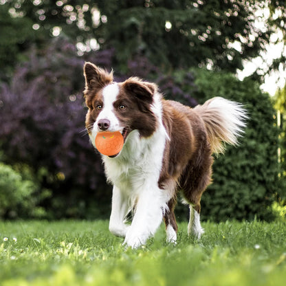 Smart Dog Toy Ball Electronic Interactive Pet Toy Ball USB Automatic Bouncing Rolling Toy Ball With RGB Lights Puppy Cat Product Beauty World Shop