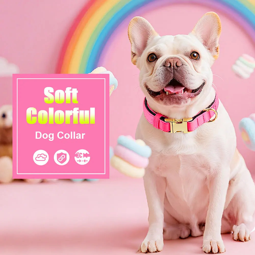 8 Colors Nylon Dog Collar Personalized Dog Collars Colorful Custom Pet ID Collars Necklace Breathable for Small Medium Dogs Pug