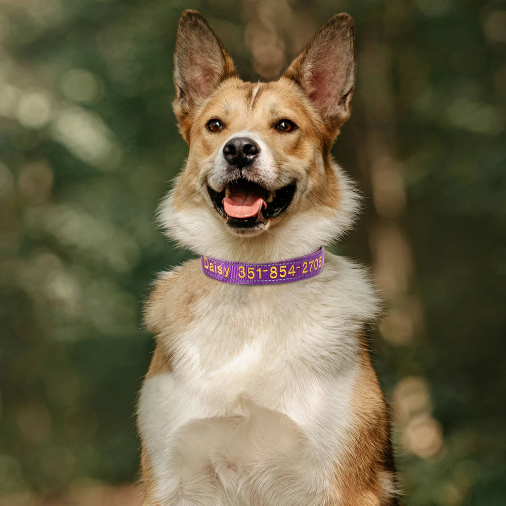 Embroidered Nylon Dog Collar Personalized Puppy Cat Collars Reflective Pet ID Collars DIY Phone Name ID For Small Large Dog Cat Beauty World Shop