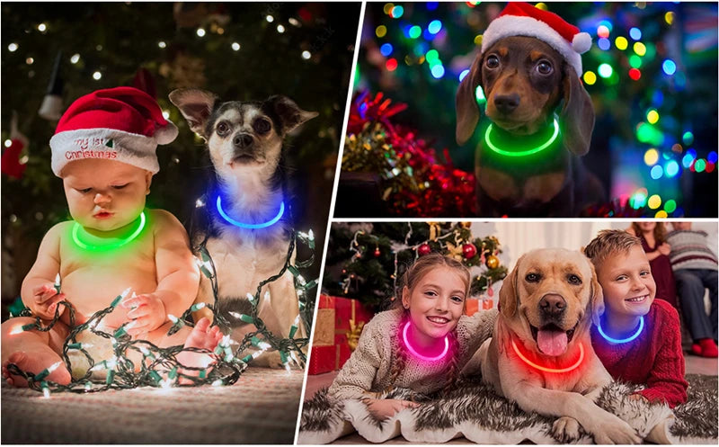 Luminous Dog Collar Light Charge Cat Necklace, Led Fashion Flashing DIY Glowing Safety Collar for Dogs Nighttime Pet Accessorie Beauty World Shop