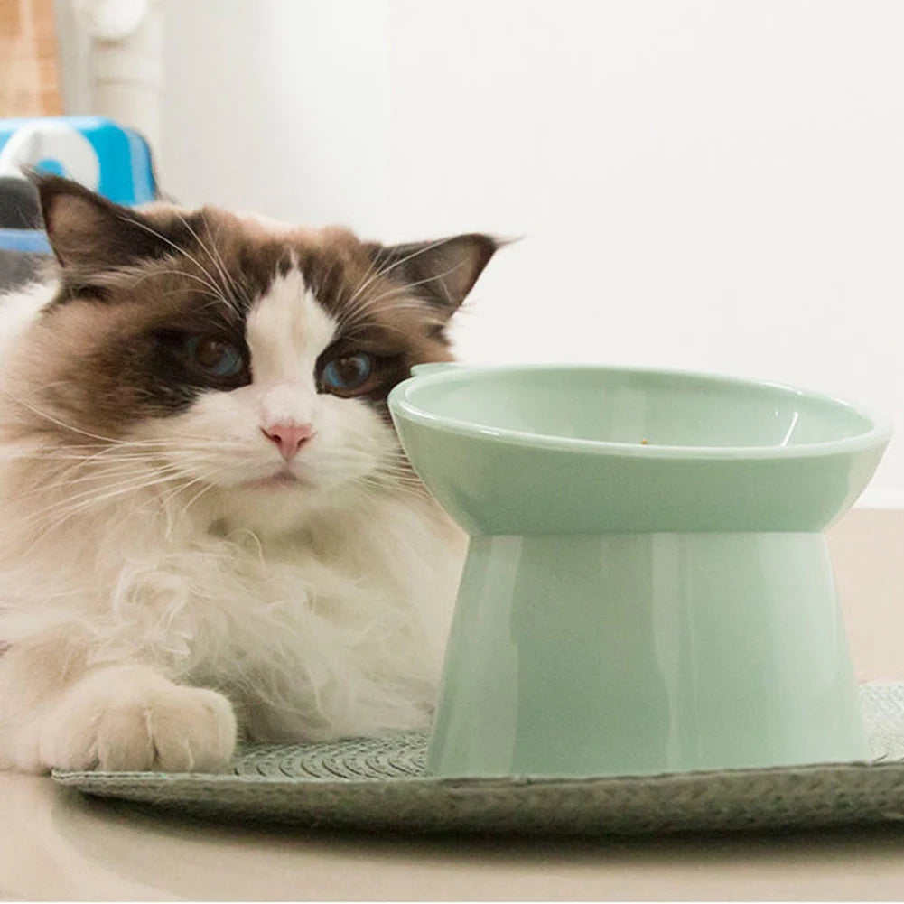 Tilted Cat Food Bowl Elevated Cat Bowl Ergonomic Cat Food Dish Anti Vomiting Plastic Feeding Bowl Non Slip for Flat- Faced Cats Beauty World Shop