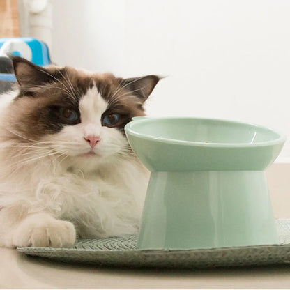 Tilted Cat Food Bowl Elevated Cat Bowl Ergonomic Cat Food Dish Anti Vomiting Plastic Feeding Bowl Non Slip for Flat- Faced Cats Beauty World Shop