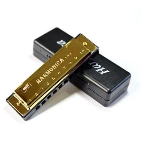 Harmonica Key of C 10 Hole Diatonic Harmonica C with Case for Beginner Students Kids Gift with Case Beauty World Shop
