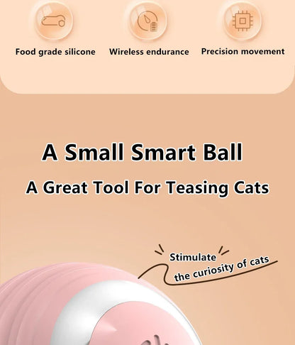 Spin Ball Things for Cats Toys Electric Interactive USB Charging Cat Ball Toy Cat and Dog Accessories Pet Cat's Supplies Home Beauty World Shop