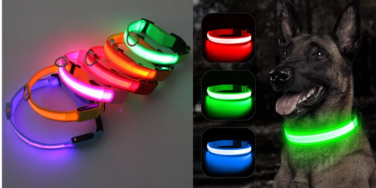 Usb Charging Glowing Dog Collar With Pendant Detachable Luxury Led Light Bright For Small Dogs Cat Night Safety Collar Wholesale Beauty World Shop