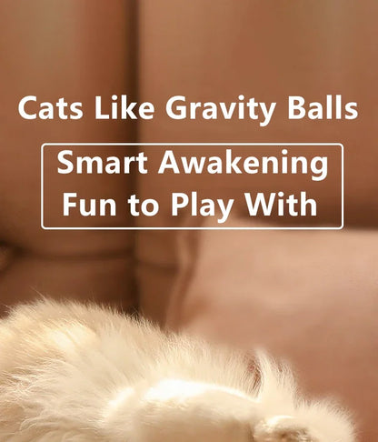 Spin Ball Things for Cats Toys Electric Interactive USB Charging Cat Ball Toy Cat and Dog Accessories Pet Cat's Supplies Home Beauty World Shop