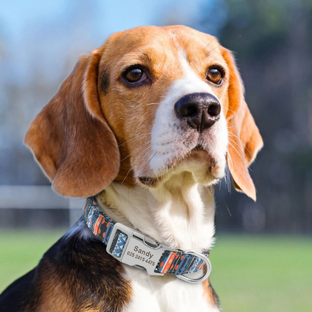 Adjustable Nylon Dog Collar Personalized Dogs Cat ID Collars With Engraved Name Buckle Anti-lost for Small Medium Large Dogs Beauty World Shop
