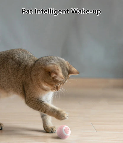 Spin Ball Things for Cats Toys Electric Interactive USB Charging Cat Ball Toy Cat and Dog Accessories Pet Cat's Supplies Home Beauty World Shop
