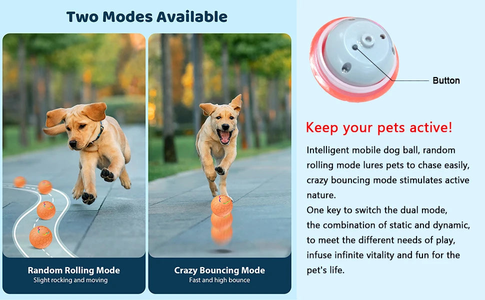 Smart Dog Toy Ball Electronic Interactive Pet Toy Ball USB Automatic Bouncing Rolling Toy Ball With RGB Lights Puppy Cat Product Beauty World Shop
