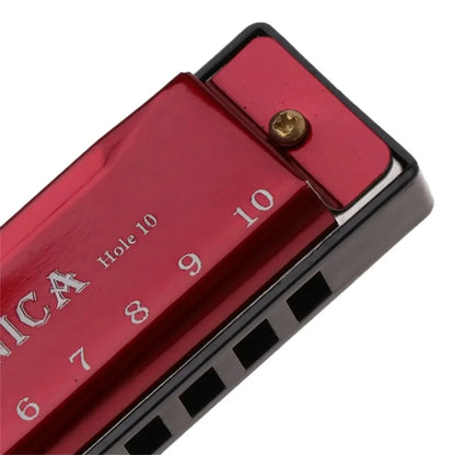 Harmonica Key of C 10 Hole Diatonic Harmonica C with Case for Beginner Students Kids Gift with Case Beauty World Shop