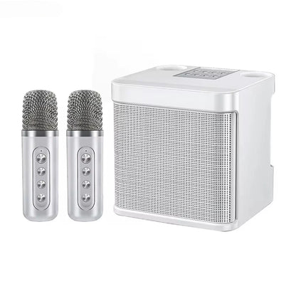 10W Powerful Wireless Portable Dual Microphone Bluetooth Sound Outdoor Family Party Karaoke Subwoofer Boom Box with 2 Microphone