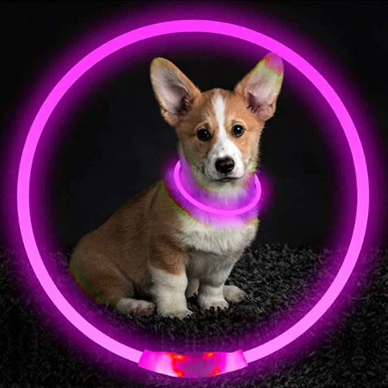 Luminous Dog Collar Light Charge Cat Necklace, Led Fashion Flashing DIY Glowing Safety Collar for Dogs Nighttime Pet Accessorie Beauty World Shop