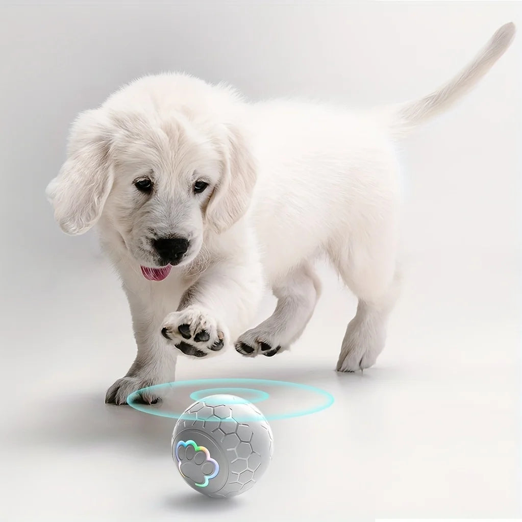 Smart Dog Toy Ball Electronic Interactive Pet Toy Ball USB Automatic Bouncing Rolling Toy Ball With RGB Lights Puppy Cat Product Beauty World Shop