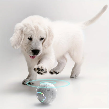 Smart Dog Toy Ball Electronic Interactive Pet Toy Ball USB Automatic Bouncing Rolling Toy Ball With RGB Lights Puppy Cat Product Beauty World Shop