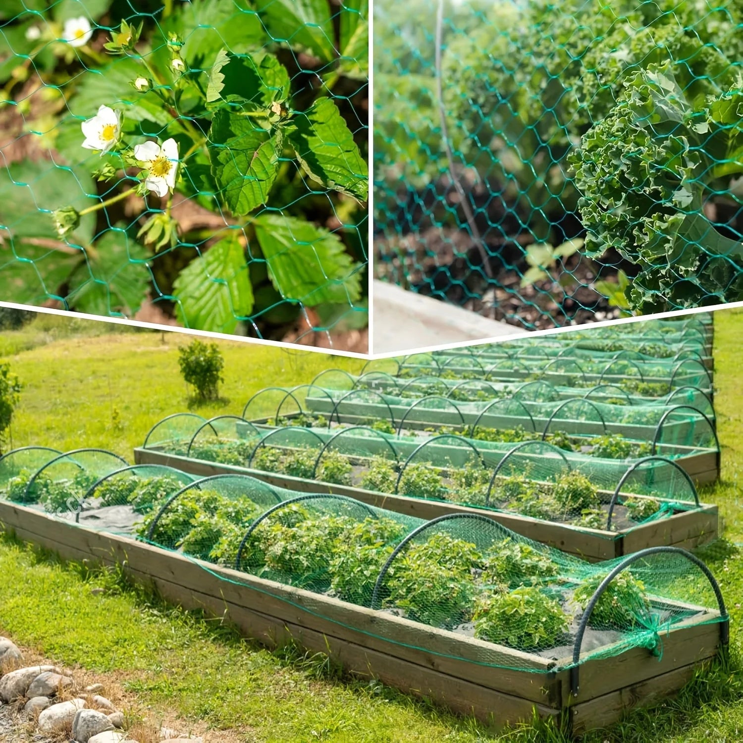 1pc Garden Netting and Bird Protection, for Vegetables Plants Flower And Fruit Trees, Trellis Gird Pest Fencing Net Stops, Beauty World Shop