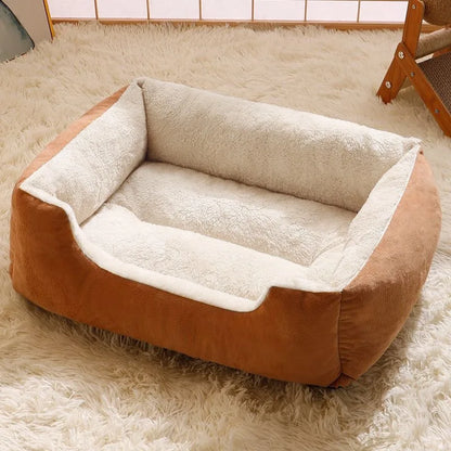 Bed for Cats Pet Products Cushions Kitten Goods Accessories Dog All Home Supplies Things Accessory Habitats Basket House Beds Beauty World Shop