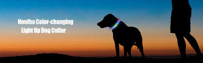 New Led Luminous Dog Collar PVC Waterproof , For Large Medium Small Dogs Collar Usb Light Night Safety Pet Glowing Accessories Beauty World Shop