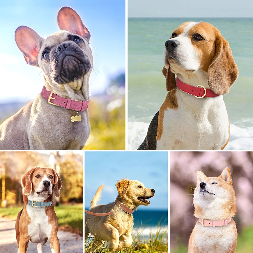 Soft Padded Dog Collar Leash Set PU Leather Pet Dog Collars Necklace With Walking Lead Rope Adjustable For Small Medium Dogs Pug Beauty World Shop