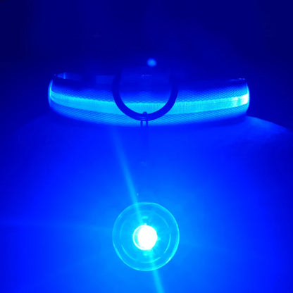 Usb Charging Glowing Dog Collar With Pendant Detachable Luxury Led Light Bright For Small Dogs Cat Night Safety Collar Wholesale Beauty World Shop