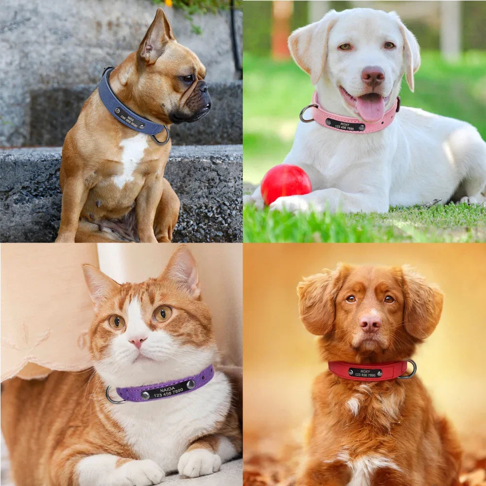 Personalized Customized Leather ID Nameplate Dog Collar Soft Padded Dogs Collars Free Engraving Name for Small Medium Large Dogs Beauty World Shop