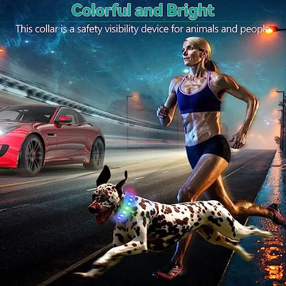 New Led Luminous Dog Collar PVC Waterproof , For Large Medium Small Dogs Collar Usb Light Night Safety Pet Glowing Accessories Beauty World Shop