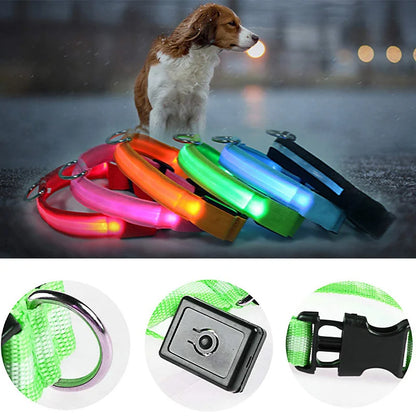 Usb Charging Glowing Dog Collar With Pendant Detachable Luxury Led Light Bright For Small Dogs Cat Night Safety Collar Wholesale Beauty World Shop