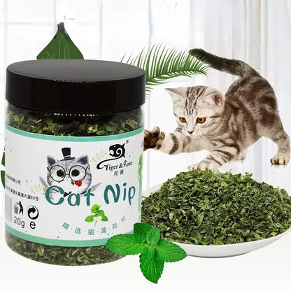 Organic 100% Natural High Quality Catnip Cattle Grass Mint Taste Funny Cat Toy New Cat Toy Interactive Cat Toys Pet Supplies Beauty World Shop