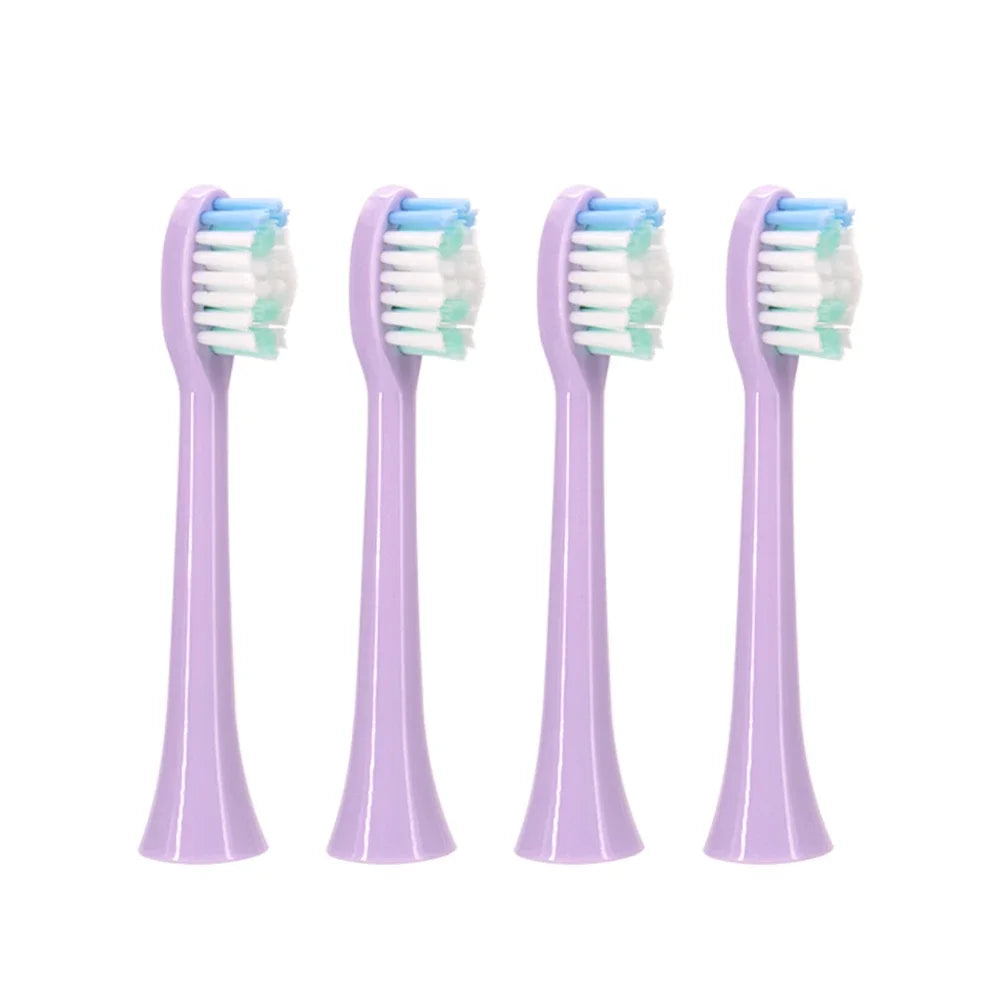 Sonic Electric Toothbrush Smart Ultrasonic Dental Teeth Whitening Rechargeable Adult Tooth Brush Sarmocare S100 With8 Brush Head Beauty World Shop